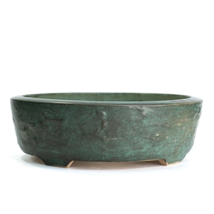 May include: A dark green, oval-shaped bonsai pot with a textured surface. The ceramic pot has a low profile and sits on three small feet. The pot's color has a mottled appearance, with variations in tone.