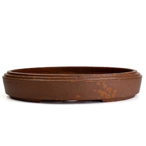 May include: A shallow, oval-shaped ceramic bonsai pot in a matte, earthy brown finish. The exterior features a subtle, speckled texture with lighter brown spots. The rim is slightly raised with a tiered edge, and the base has small feet.