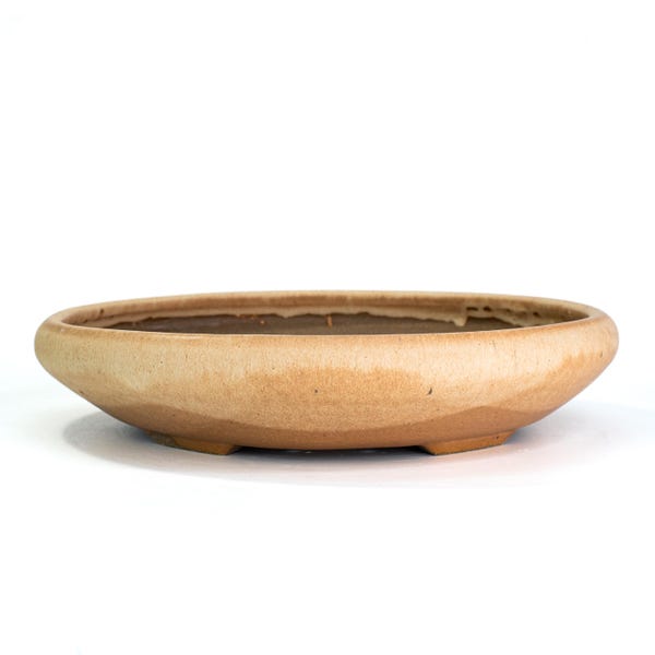 May include: A light brown, oval-shaped ceramic bonsai pot. The pot has a shallow design with a slightly raised rim and three small feet. The exterior has a textured appearance, and the interior is a darker shade of brown.