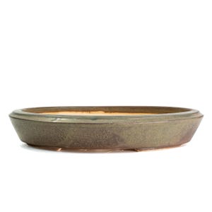 May include: A shallow, oval-shaped ceramic bonsai pot with a textured, matte olive-green exterior glaze. The interior of the vessel features a smooth, light beige finish, and the base is supported by small, integrated feet for elevation.