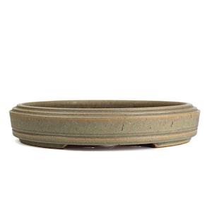 May include: A shallow, oval-shaped ceramic bonsai pot with a muted, earthy green glaze. The exterior features a subtle, raised horizontal band detail running along the center of the side wall, and the base is slightly elevated with small feet.