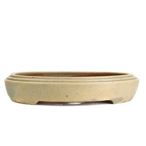 May include: A shallow, oval-shaped ceramic bonsai pot with a matte, light beige glaze. The exterior features a subtle, speckled texture and a raised rim detail around the top edge. The base is slightly elevated with small feet.