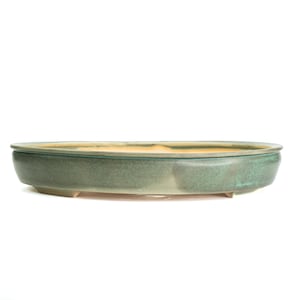 May include: A green ceramic bonsai pot with an oval shape. The pot has a slightly textured surface and a light-colored interior. It features small feet for stability and is suitable for bonsai trees.