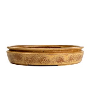 May include: A shallow, round ceramic bonsai pot with a textured, mottled mustard-yellow and brown glaze. The vessel features a wide, flat rim and a slightly tapered base, showcasing a weathered, earthy finish across its exterior surface.