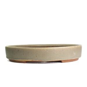 Oval 12.5” Tan Green Glazed Stoneware Bonsai Pot