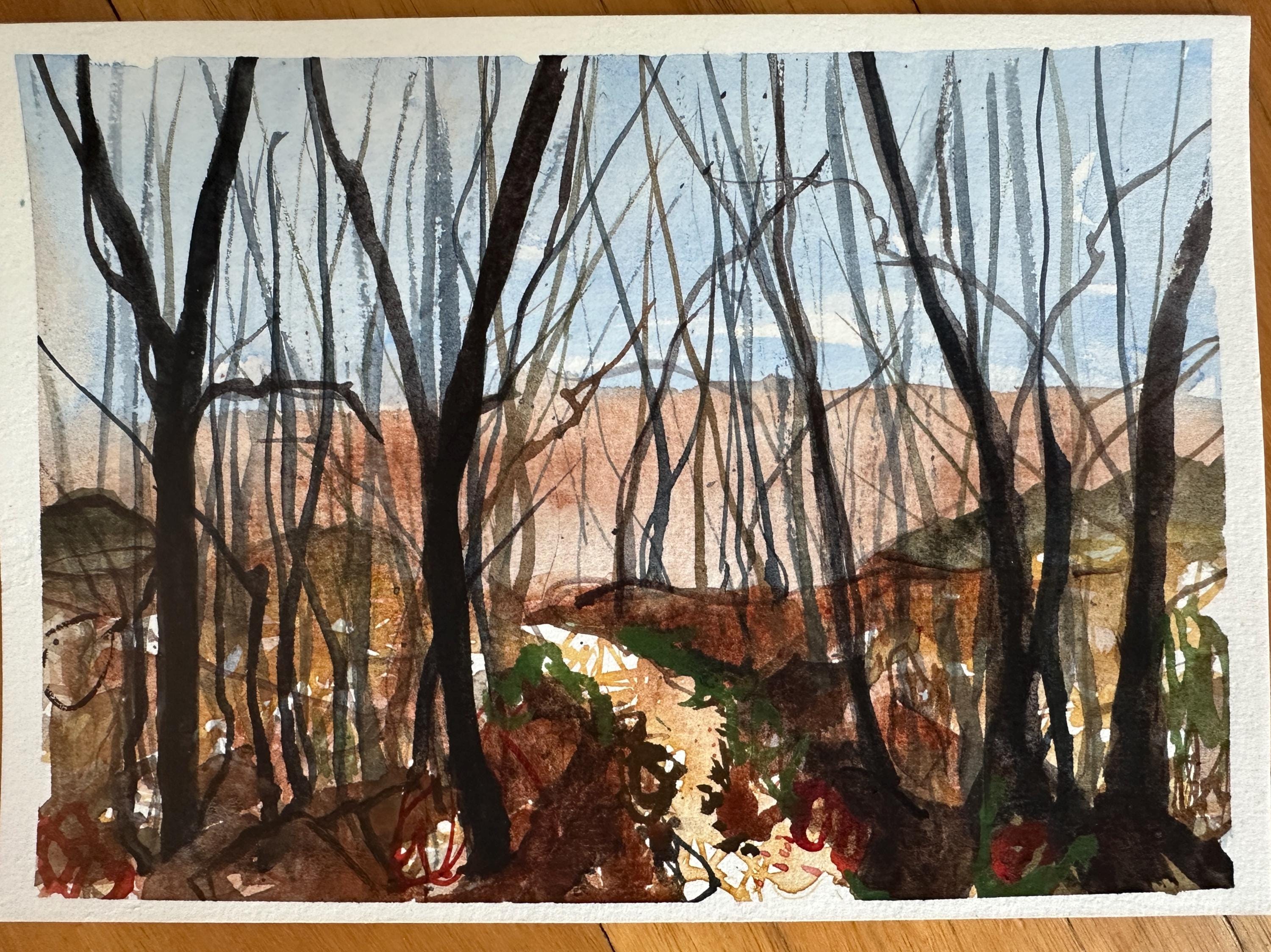 オーストラリアの風景画水彩画、オリジナルアート - Etsy 日本