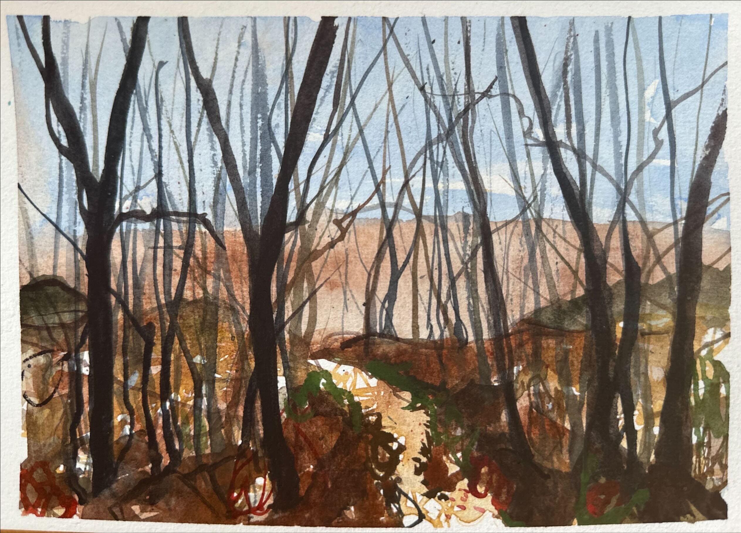 オーストラリアの風景画水彩画、オリジナルアート - Etsy 日本