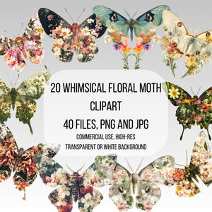Lot de cliparts papillon floral, images fantaisistes de papillon de nuit, ensemble d'images d'insectes cottagecore, png de fleurs de printemps sorcières, illustration familière magique