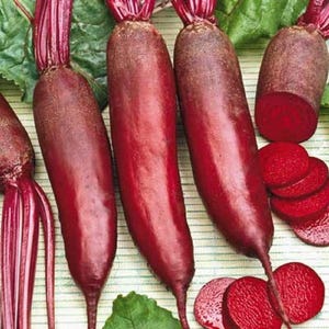 Puede incluir: Cuatro remolachas rojas con hojas verdes. Las remolachas son largas y delgadas, con una superficie lisa y brillante. Algunas de las remolachas se han cortado en rodajas finas, revelando la pulpa roja brillante.