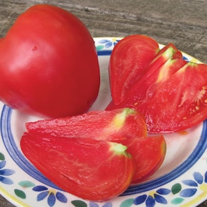 May include: A red tomato sliced into wedges on a white plate with a blue and green floral pattern.