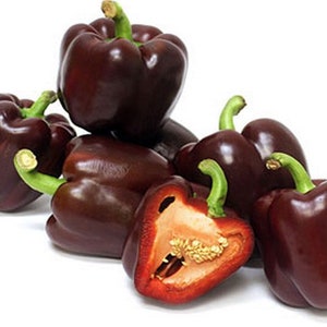 Organic Sweet Pepper Mini Bell Chocolate 60 Seeds - Discover Miniature Sweetness!