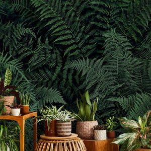 Fern leaves wallpaper, dark green forest Wall Mural | Home Renovation | Wall Art | Peel and Stick Or Non Self-Adhesive Vinyl Wallpaper