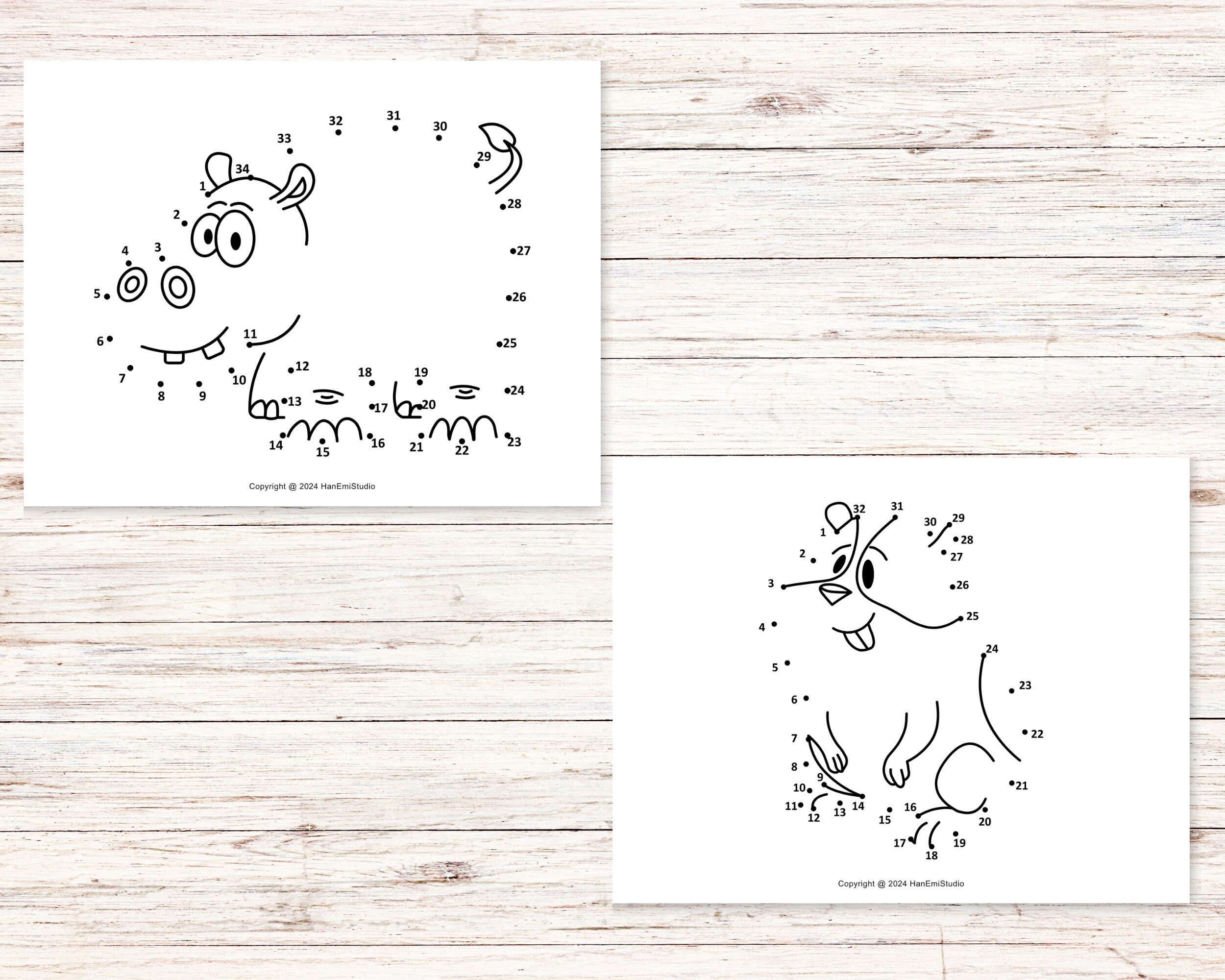 20 Page Animal Dot to Dot Worksheets; Dot to Dot Coloring Page