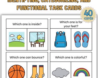 Identifying, Categorizing, and Functional Task Cards; Attribute Task Card; Speech Therapy; Special Ed; Autism; Visual Task Card; WH Question