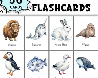 Arctic Vocabulary Flashcards; Watercolor Kids Flashcards; Arctic Animal Flashcards; Montessori Winter Nomenclature Cards; Winter Flash Cards