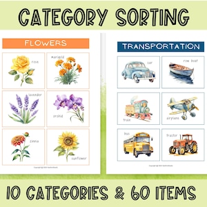 May include: Educational print featuring watercolor illustrations for category sorting. Includes flowers and transportation themes. The text reads "CATEGORY SORTING", "FLOWERS", "TRANSPORTATION", "10 CATEGORIES & 60 ITEMS".