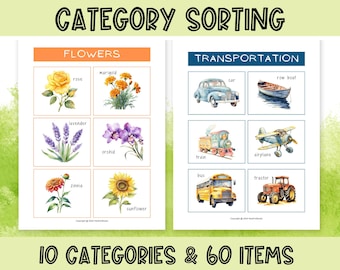 10 actividades de clasificación de categorías; Hojas de trabajo de clasificación de categorías para niños; Hojas de trabajo de clasificación; Clasificación de categorías; Clasificación de objetos