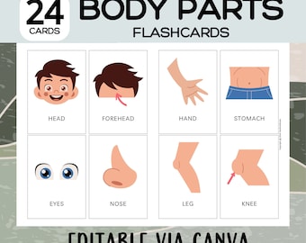 EDITABLE 24 Body Part Flashcards via Canva; Vocabulary Flashcards for kids; Bilingual Flashcard; Montessori Flashcards; Printable Flashcards