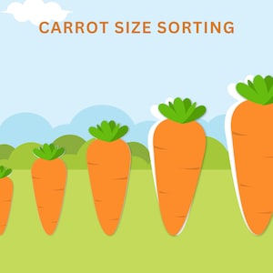 Carrot Size Sorting Activity; PreK Worksheet; Size Recognition; Preschool Learning Game; Size Matching Activity; Printable Worksheets