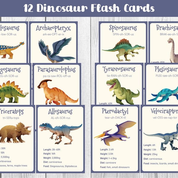 12 Dinosaur Flash Cards, Dinosaurs For Kids, Dinosaur SVG, Dinosaurs, Animal Flash Cards,