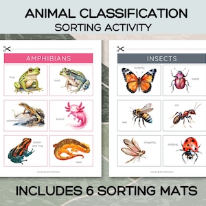 6 Page Animal Classification Sorting Activity; Animal Sorting Worksheets for Kids; Animal Sorting; Matching Activity; Toddler Worksheets