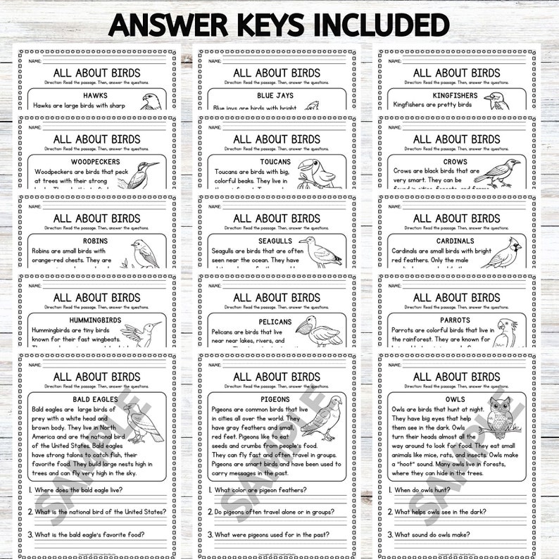 15 Birds Reading Comprehension Worksheets; 1st Grade Reading ...