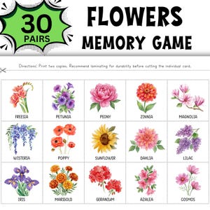 May include: A Flowers Memory Game with 30 pairs. The game features watercolor illustrations of various flowers, including freesia, petunia, peony, zinnia, magnolia, wisteria, poppy, sunflower, dahlia, lilac, iris, marigold, geranium, azalea, and cosmos.