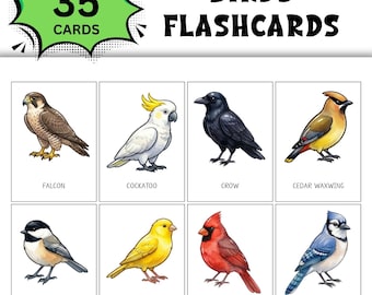 35 Cartões de Identificação de Pássaros para Imprimir; Cartões Montessori da Natureza para Crianças; Atividade de Identificação de Pássaros; Material de Ciências para Educação Domiciliar; Download Digital