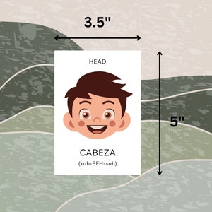 May include: A white card with the word "HEAD" at the top and a cartoon illustration of a person's head. The word "CABEZ" is written below the illustration, with the phonetic pronunciation "(kah-BEH-sah)" underneath. The card is 3.5 inches wide and 5 inches tall.