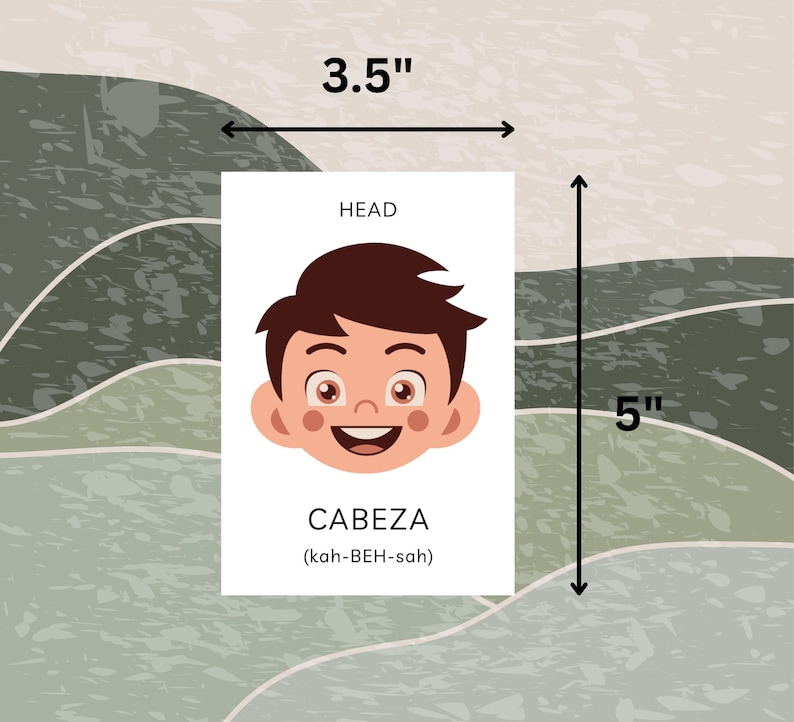 May include: A white card with the word "HEAD" at the top and a cartoon illustration of a person's head. The word "CABEZ" is written below the illustration, with the phonetic pronunciation "(kah-BEH-sah)" underneath. The card is 3.5 inches wide and 5 inches tall.