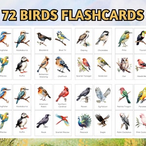 72 Birds Flashcards For Kids, Bird Breed Learning Cards;  Birds Learning Unit; Montessori 3-Part Cards; Animal Flashcards; Identify Animal