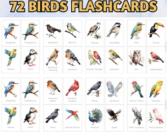 72 Birds Flashcards For Kids, Bird Breed Learning Cards;  Birds Learning Unit; Montessori 3-Part Cards; Animal Flashcards; Identify Animal