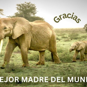 Gracias, Estampado animal, mamá y yo, familia de elefantes, arte mural, adorable elefante, madre e hija
