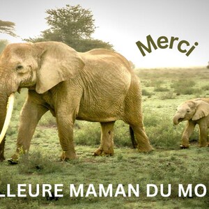 Impression d'animaux mignons, Maman et moi, family d'éléphants, kunstmuurschildering, schattige olifant, mère et fille
