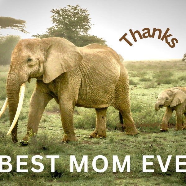 Elephant mom card