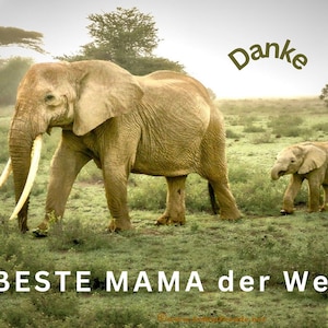 Mejor Mamá del Mundo, Fotografía de Vida Silvestre, Elefante y Bebé, Gracias, Regalo para Mamá, Cumpleaños Mamá, Día de la Madre