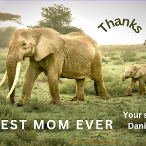 Schattige dierenprint, mama en ik, familie van olifanten, schattige olifant, Moederdagkunst, moeder en dochter