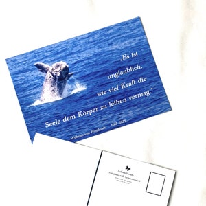 pleine conscience, baleine, photo, force, âme, corps