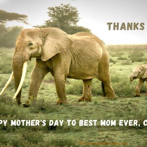 Postal mejor mamá del mundo, tarjeta Día de la Madre, tarjeta Día de la Madre, postal mamá, foto elefante y bebé