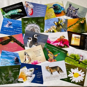 Ensemble de cartes postales joie de vivre dictons photographie photos de détail de la nature de haute qualité
