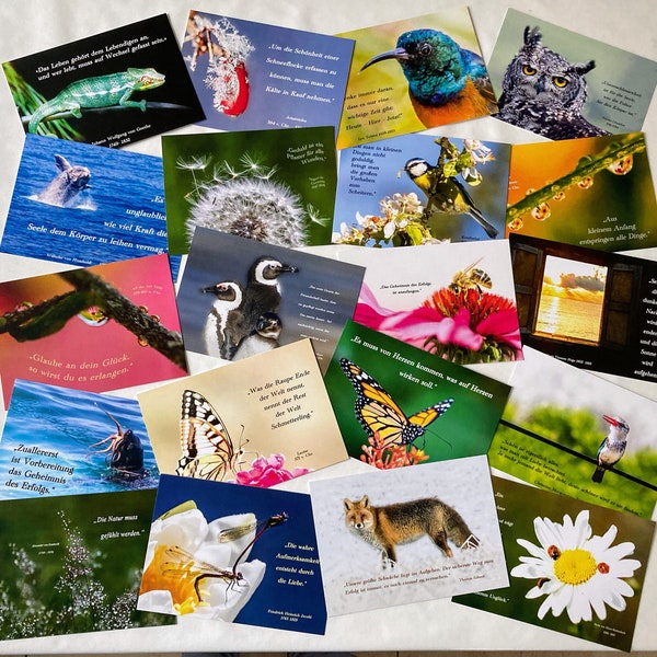 Postkartenset Lebensfreude Sprüche Fotografie hochwertig Natur DetailaufnahmenRabattFrühling