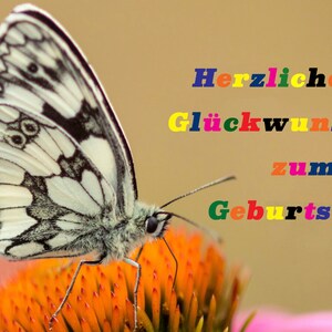 Schmetterling Postkarte, Geburtstag Karte Schmetterling downloaden sofort verschenken, Herzlichen Glückwunsch