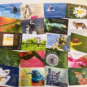 Kaartenset als motiverend en bemoedigend cadeau, mindfulness, 40% kerstkorting