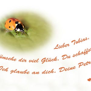 Glückskäfer, Viel Glück, Du schaffst das, personalisierbar für deine Liebsten