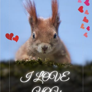 Baby Squirrel Nursery Print, Squirrel Animal art, Cute Squirrel Print, Animal print, Wild nature photo, Love Card