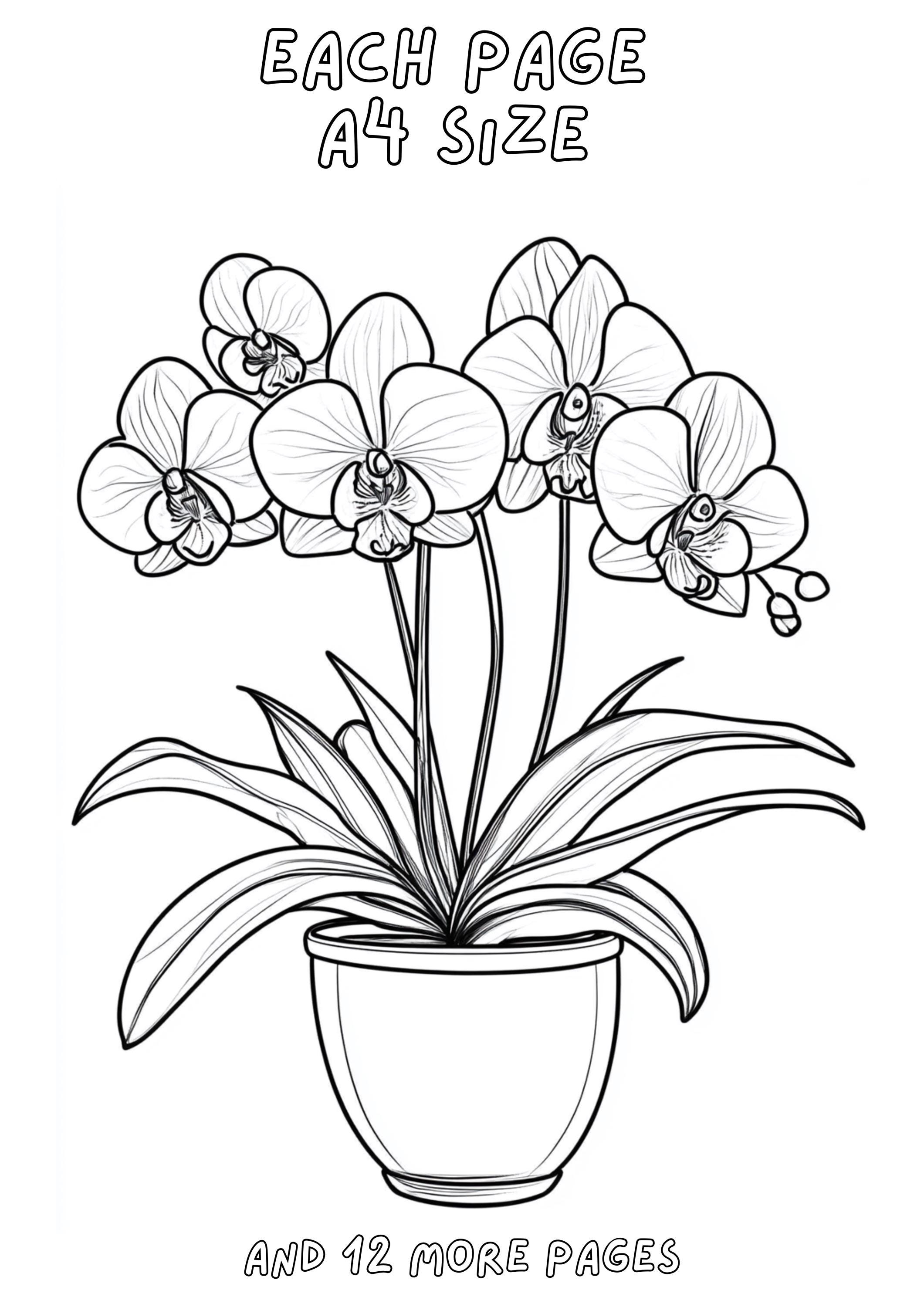 20 Flowers Plant Coloring Pages,cute Vase Flowers Coloring,cute Fall ...