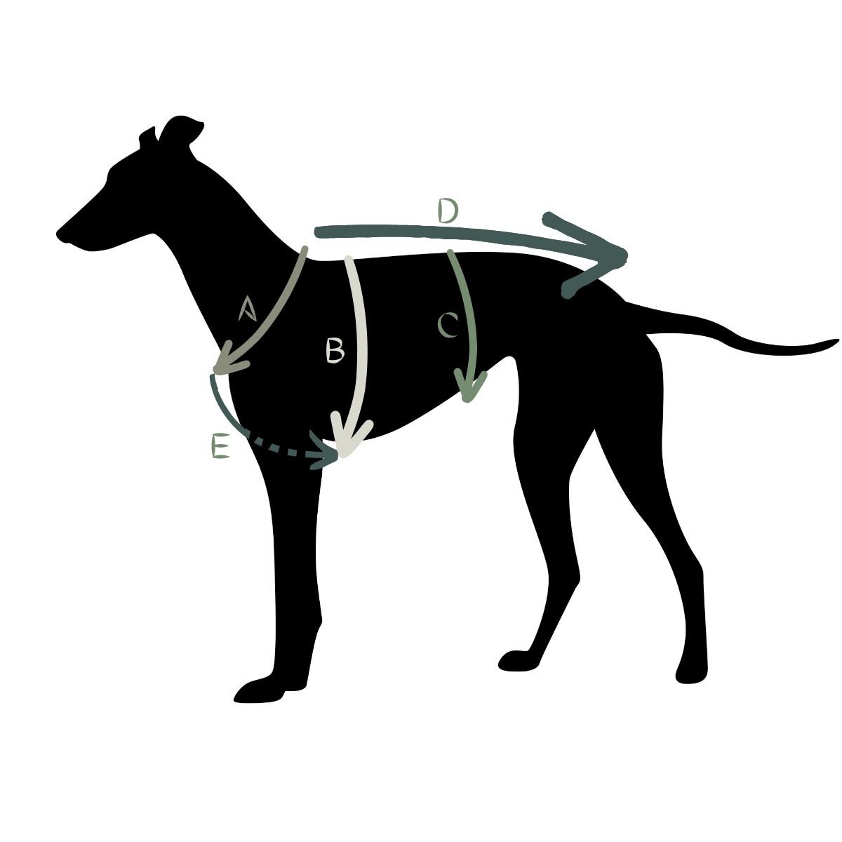 3-Point Anti-Escape, Anti-Pull Harness Ideal For Sighthounds