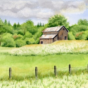 Field of Flowers