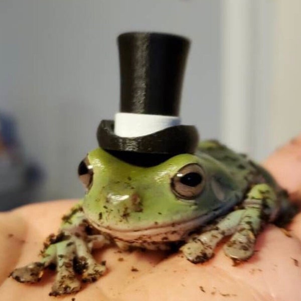 Hats for Pet Frogs (3D-Printed)