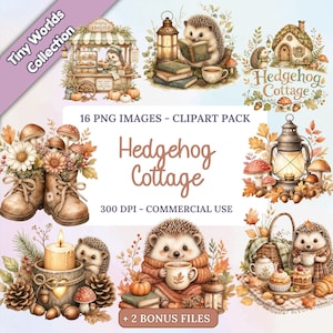 Egel huisje clipartbundel, gezellige bos dieren herfstafbeeldingen, herfst Clip Art PNG-afbeeldingen, picknick, champignons, dennenappels